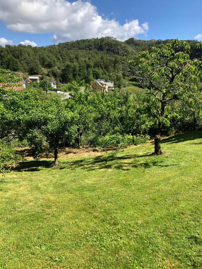 Sokndal - Cozy Vacation Home In Peaceful Surroundings Algard  المظهر الخارجي الصورة